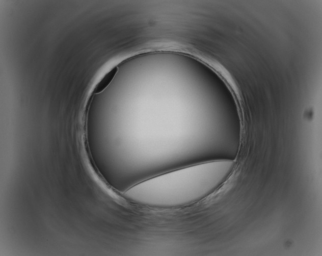X0000101391389200807070955