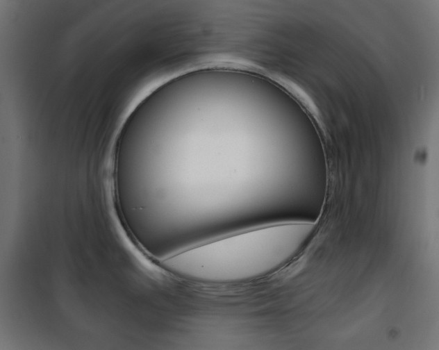 X0000101391391200807070955