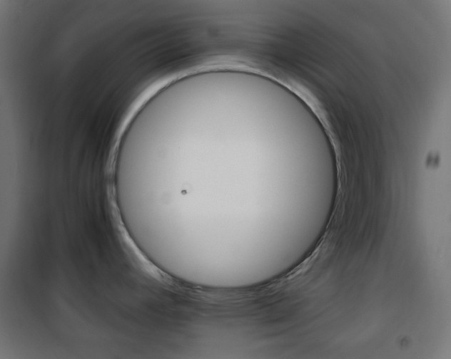X0000101391392200807070954