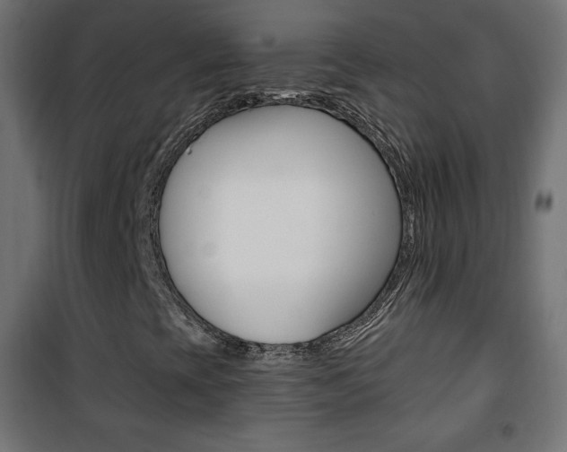 X0000101391393200807070954