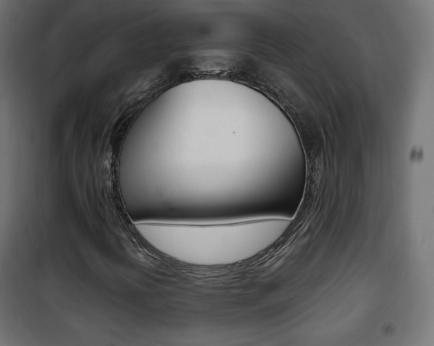 X0000101391394200807070954