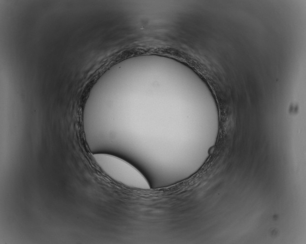 X0000101391397200807070954