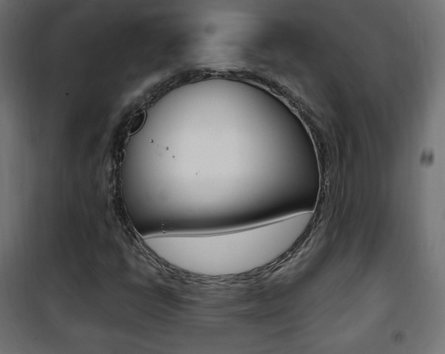 X0000101391398200807070954