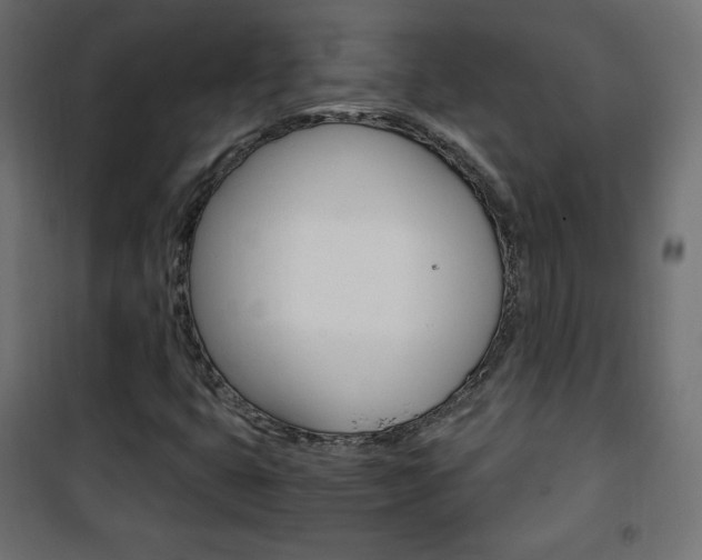 X0000101391399200807070954