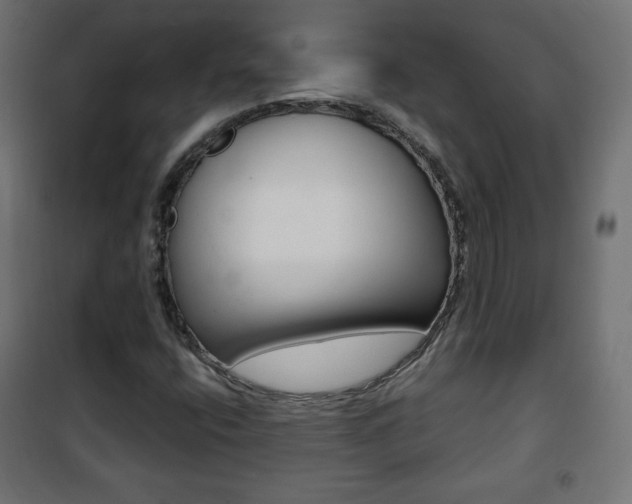 X0000101391400200807070954