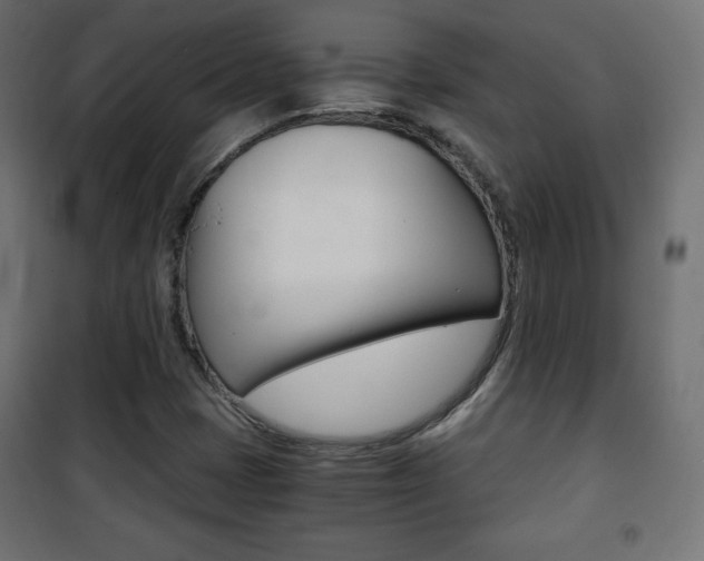 X0000101391401200807070954