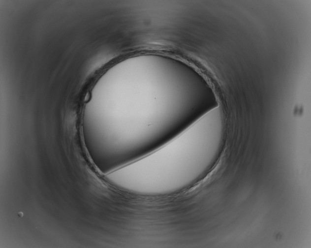 X0000101391402200807070954