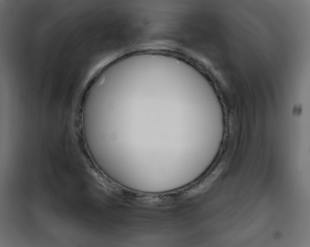 X0000101391405200807070954