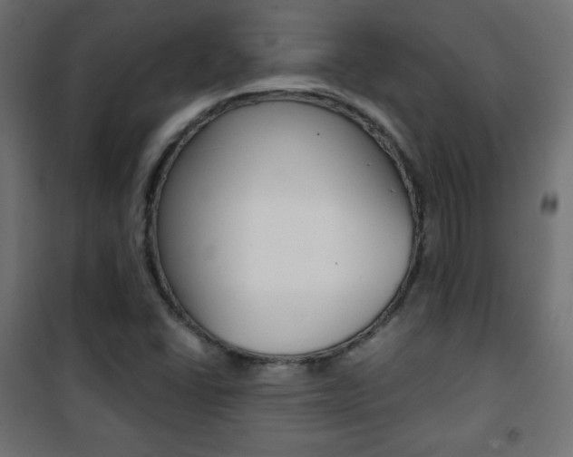 X0000101391406200807070954