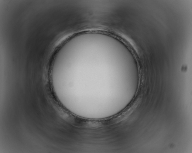 X0000101391407200807070954
