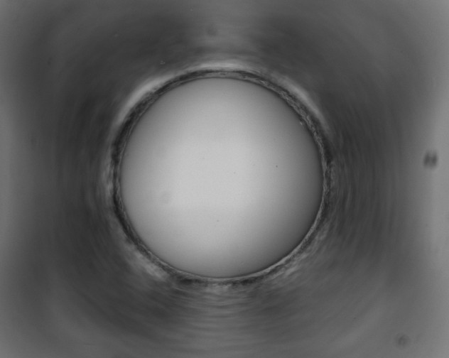X0000101391408200807070954