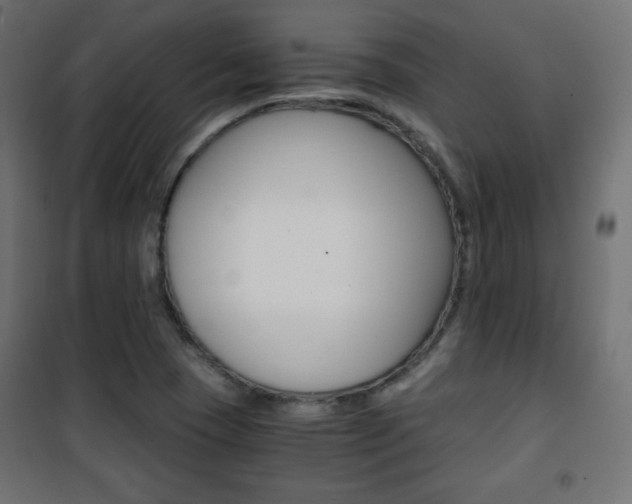 X0000101391409200807070954