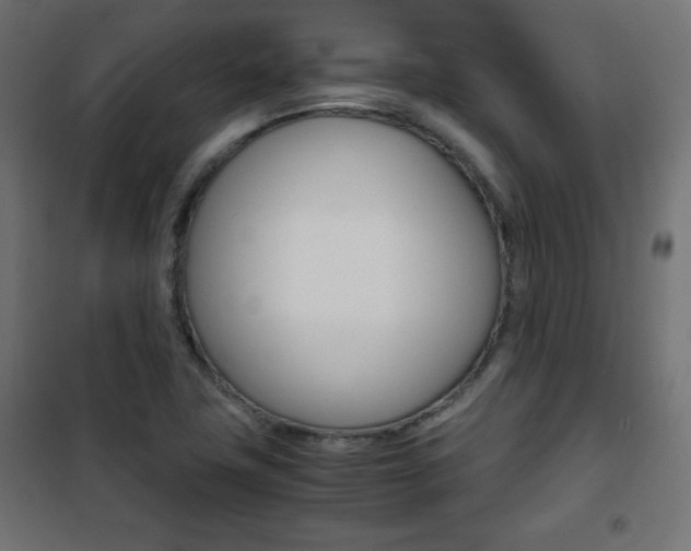 X0000101391411200807070954