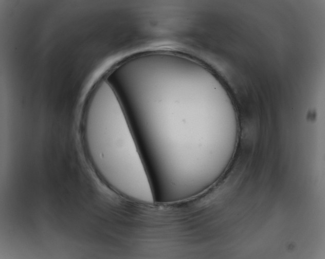 X0000101391414200807070954
