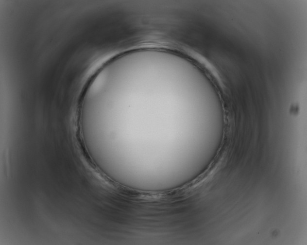 X0000101391415200807070954