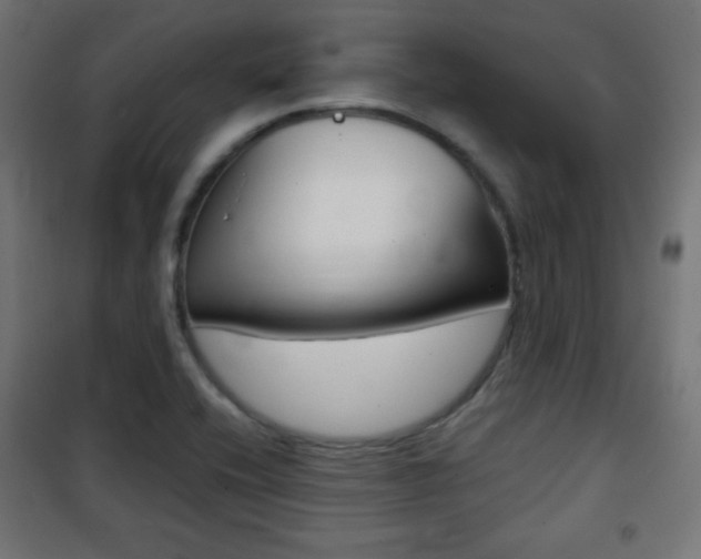 X0000101391416200807070954