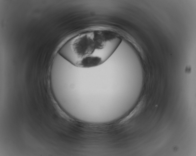 X0000101391417200807070954