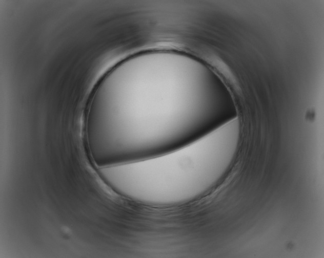 X0000101391420200807070954