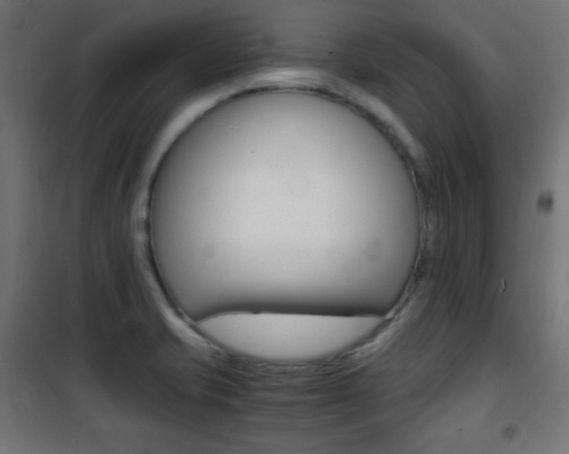 X0000101391421200807070954