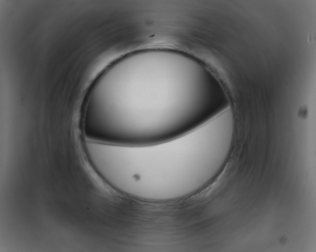 X0000101391422200807070954