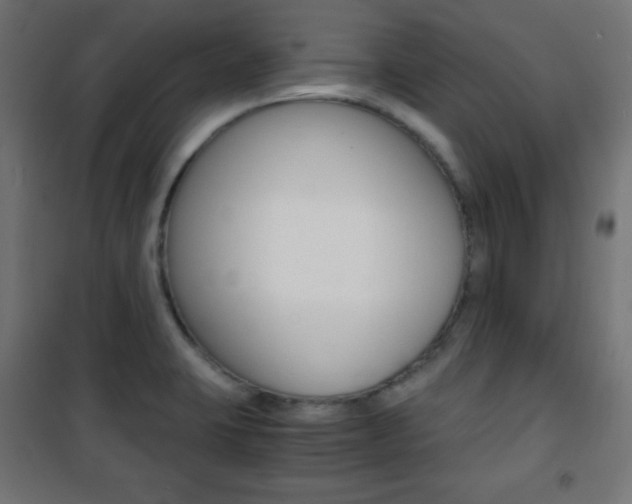 X0000101391423200807070954