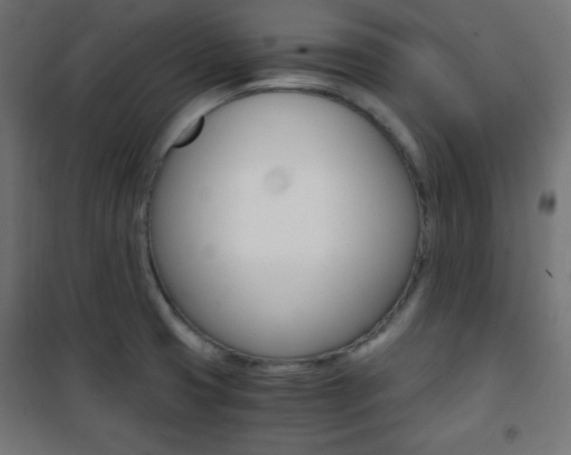 X0000101391425200807070954