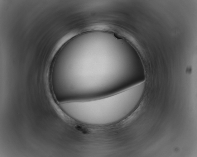 X0000101391426200807070954