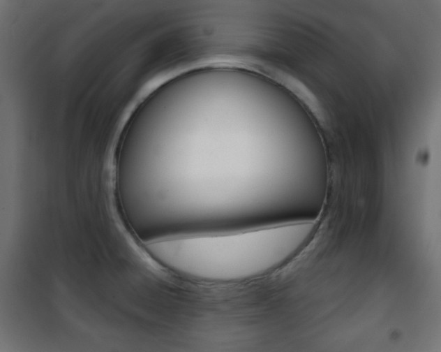 X0000101391428200807070954