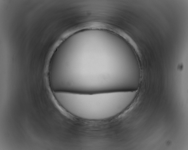 X0000101391429200807070954
