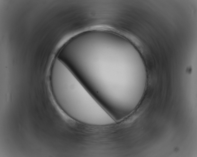 X0000101391430200807070954