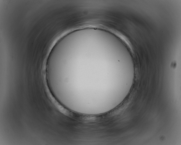 X0000101391431200807070954