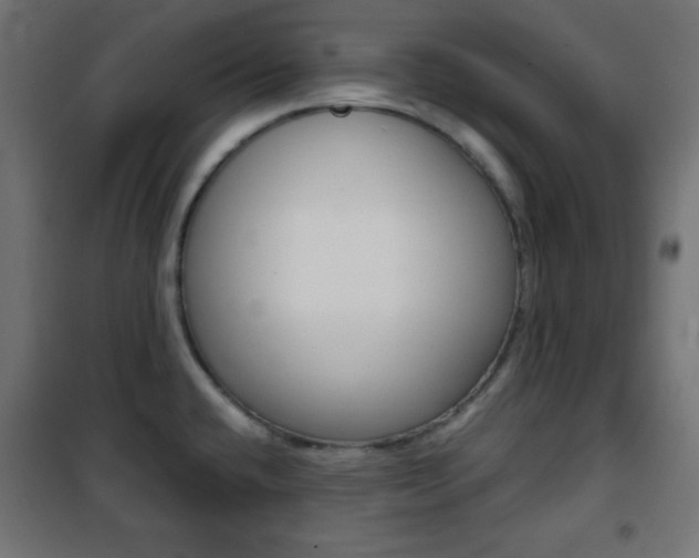 X0000101391432200807070954