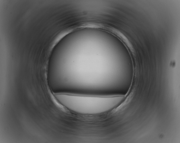 X0000101391433200807070954