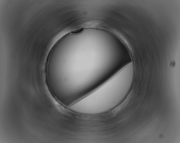 X0000101391434200807070954