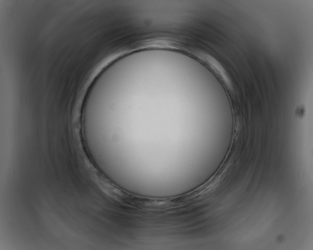 X0000101391435200807070954