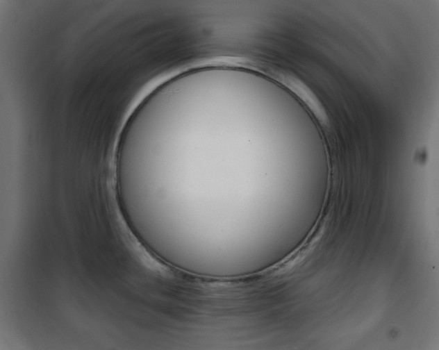 X0000101391436200807070954