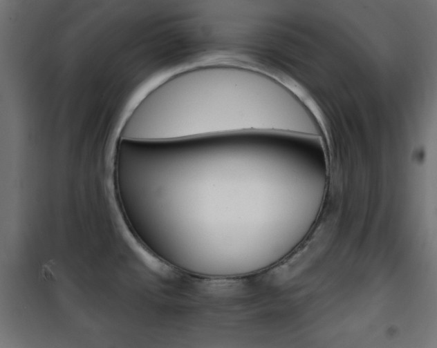 X0000101391437200807070954