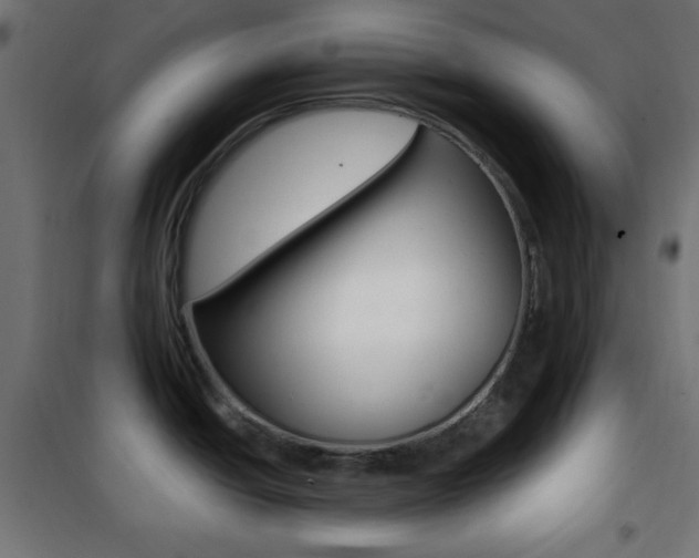 X0000101391438200807070954