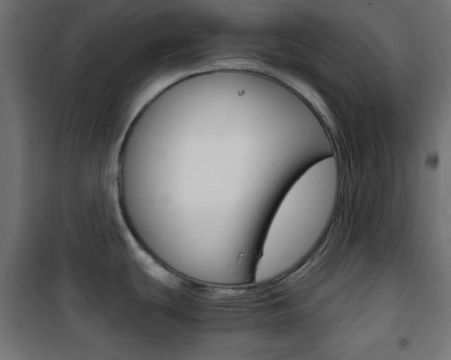 X0000101391439200807070954