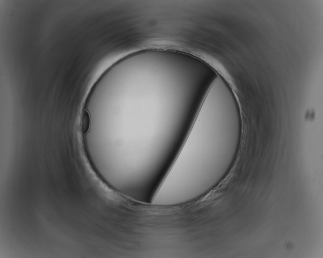 X0000101391440200807070954