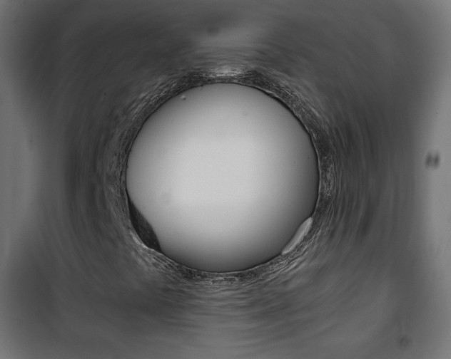 X0000101391441200807070954