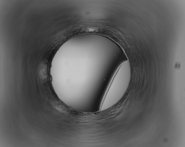 X0000101391442200807070954