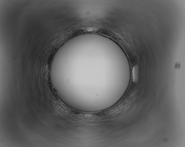 X0000101391443200807070954