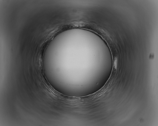 X0000101391444200807070954