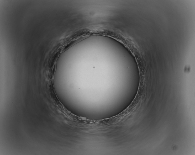 X0000101391445200807070954