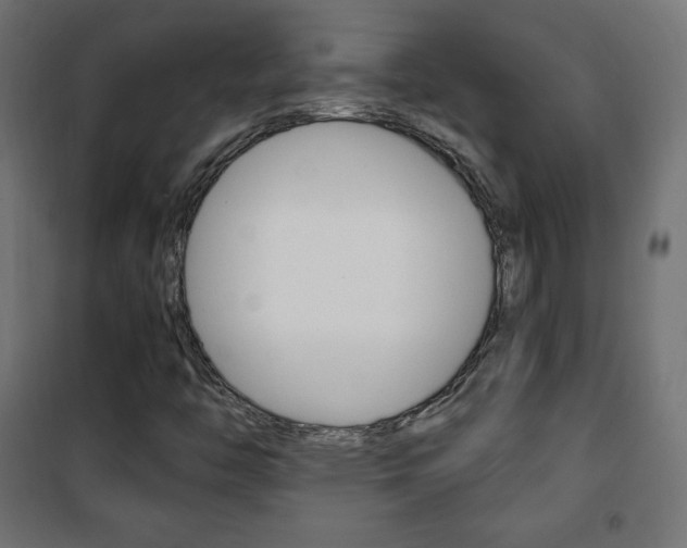 X0000101391446200807070954