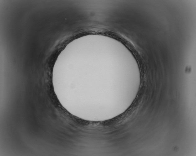 X0000101391447200807070954