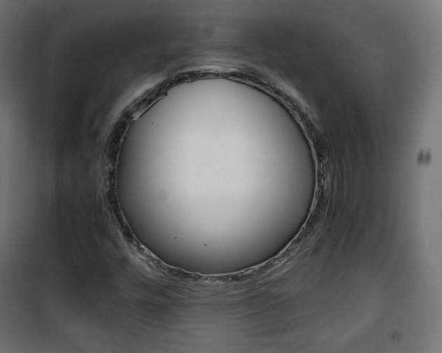 X0000101391448200807070954