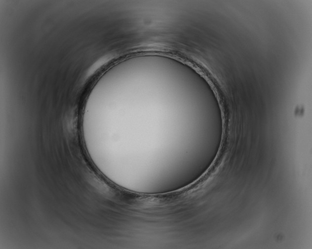 X0000101391450200807070953