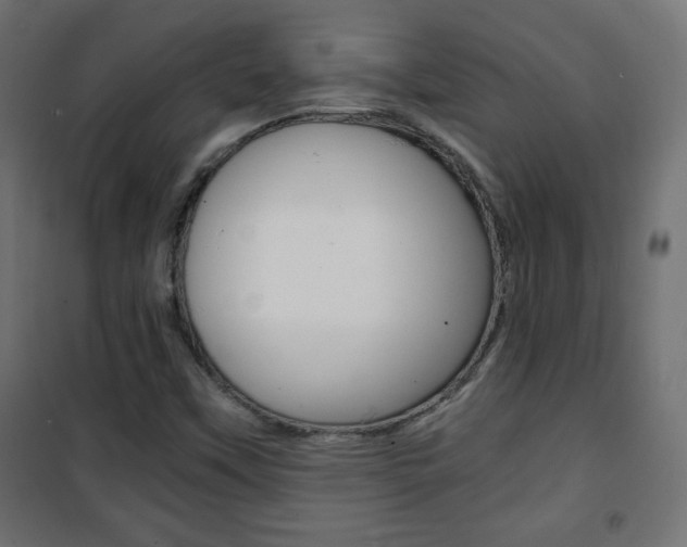 X0000101391451200807070953
